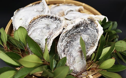 まるで獲れたて! 隠岐のいわがき プロトン凍結 鮮度抜群なので生食も可能! 岩ガキ 岩がき いわがき 新鮮 美味しい BBQ バーベキュー カキ カキフライ オイスター 急速冷凍 便利 アレンジ カキフライ 牡蠣鍋 海産 国産 生食 殻付き [冷凍][生食可](6〜7個)