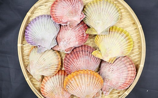 隠岐のヒオウギ貝 プロトン アウトドア キャンプ 海鮮BBQ 魚貝 生 貝殻付 活 貝柱 酒蒸し バーベキュー 海の幸 ホタテ 食卓に彩りを添える、まるで海の宝石