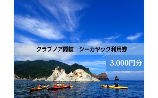 【ふるさと納税】 西ノ島の絶景を独り占め! シーカヤックで巡る大自然の冒険へ 夏休み・遊び・絶景・レジャー・体験・マリンスポーツ・スポーツ・観光 シーカヤック体験利用券3,000円分 パドル 体感 体験 初心者 アクティビティ 探索 冒険 大自然 海 海の恵み