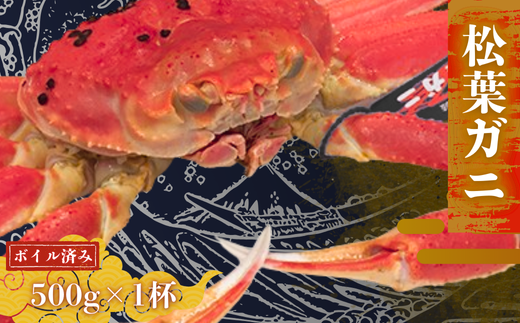 【配送日時指定可能!】松葉ガニ500g〈ボイル〉松葉ガニ マツバガニ 冬の旬。贅沢の極みをご家庭で。 松葉カニ マツバカニ カニ 蟹 新鮮 旬 プレゼント 贈与 お祝い事 贈り物 年末年始 祝辞