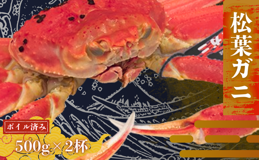 【配送日時指定可能!】松葉ガニ500g×2杯〈ボイル〉松葉ガニ マツバガニ 冬の旬。 贅沢の極みをご家庭で 松葉カニ カニ 蟹 新鮮 旬 プレゼント 贈与 お祝い事 贈り物 年末年始 祝辞