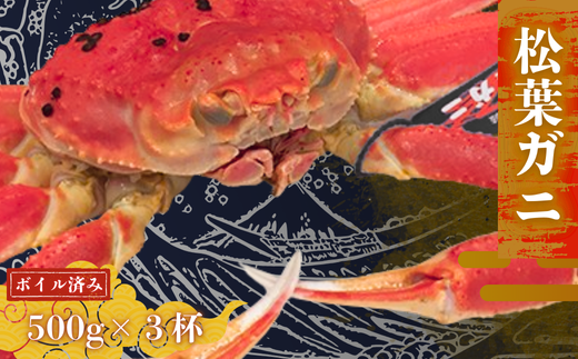松葉ガニ500g×3杯〈ボイル〉松葉ガニ マツバガニ 冬の旬。贅沢の極みをご家庭で。 松葉カニ カニ 蟹 新鮮 旬 プレゼント 贈与 お祝い事 贈り物 年末年始 祝辞 大人数 家族 親戚