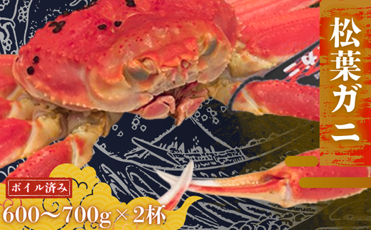 【配送日時指定可能!】松葉ガニ600g~700g×2杯〈ボイル〉冬の旬。贅沢の極みをご家庭で。 松葉ガニ 松葉カニ マツバカニ カニ 蟹 新鮮 旬 プレゼント 贈与 お祝い事 贈り物 年末年始 祝辞