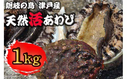 1407 天然活あわび【隠岐の島津戸産】 1㎏