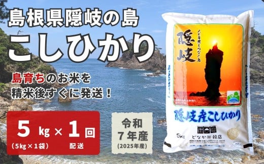 1702 【令和7年産】隠岐産こしひかり5Kg(5Kg×1袋)