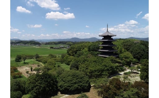 1.市政全般