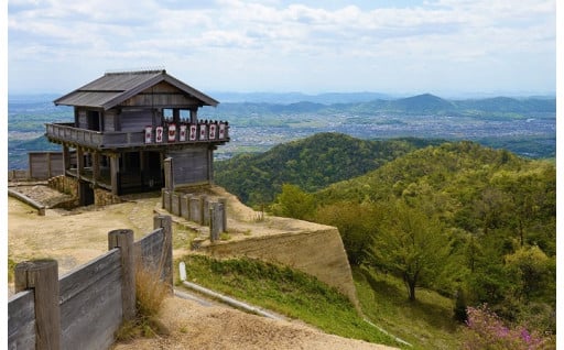 3.歴史・文化全般