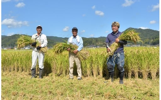6.米農家支援
