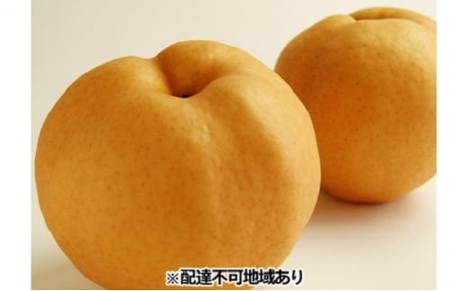 梨 早期受付 岡山 の あたご 梨 3~8玉 合計2kg以上 なし ナシ  岡山県産 国産 フルーツ 果物 ギフト桃茂実苑