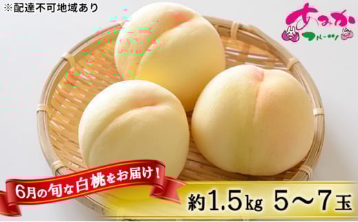 桃 2026年 先行予約 6月の旬な 白桃 をお届け!約1.5kg 5~7玉 もも モモ 岡山県 赤磐市産 国産 フルーツ 果物 ギフト あみかフルーツ 岡山の桃 旬のフルーツ 柔らかい ジューシー 産地直送 旬の桃