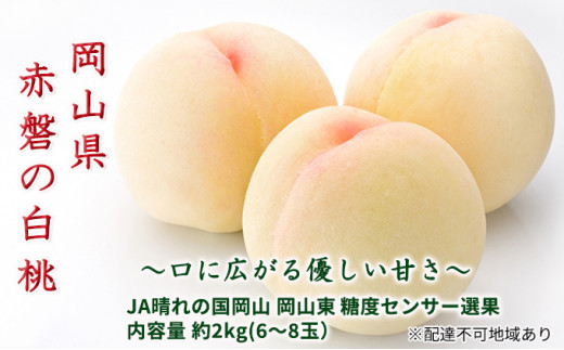 桃 2026年 先行予約 赤磐の 白桃 約2.0kg 6~8玉 JA晴れの国 糖度センサー選果 もも モモ 岡山県 赤磐市産 国産 フルーツ 果物 ギフト デザート 果肉