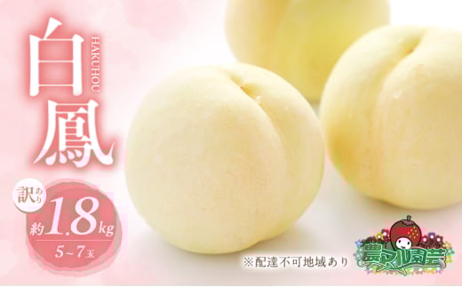 桃 2026年 先行予約 訳あり品 白桃 白鳳 約1.8kg 5~7玉 もも モモ フルーツ 果物 岡山 赤磐市産 農マル園芸 あかいわ農園 甘い 果肉 人気