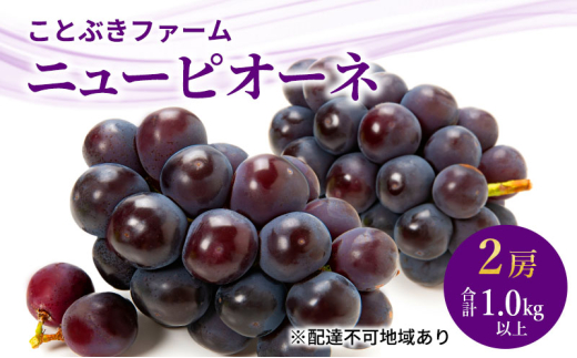 ぶどう 2026年 先行予約 ニューピオーネ2房入り 合計1.0kg以上 岡山県 赤磐市 ブドウ 葡萄 果物 フルーツ