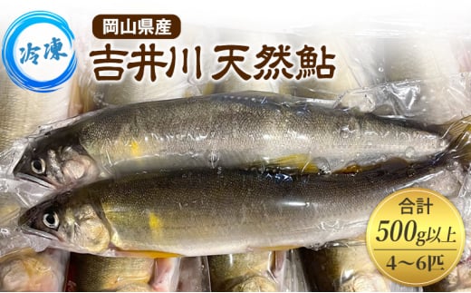 天然鮎 4~6匹 合計500g以上 【9月 発送予定】 冷凍 個包装 鮎 アユ あゆ 魚 川魚 岡山県産 吉井川