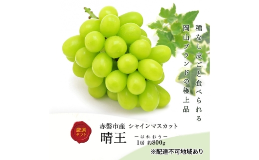 ぶどう 2026年 先行予約 シャインマスカット 晴王 1房 約800g 化粧箱入り 岡山県 赤磐市産 果物 フルーツ 葡萄 ブドウ