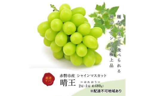 ぶどう 2026年 先行予約 シャインマスカット 晴王 2房  1房約480g 化粧箱入り  岡山県 赤磐市産 果物 フルーツ 葡萄 ブドウ