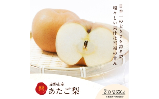 梨 2026年 先行予約 あたご梨 2玉 岡山県 赤磐市産 果物 フルーツ