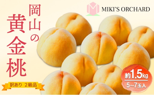 桃 【 訳あり 2級品 】 2026年 先行予約  黄金桃 約1.5kg(5～7玉入り) MIKI’S ORCHARD もも モモ 果物 フルーツ 岡山 赤磐市