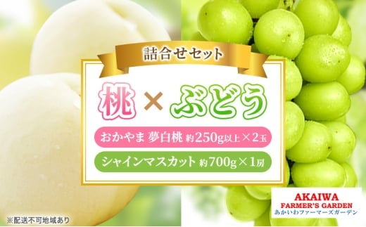 桃 ぶどう 詰合せ 2026年 先行予約 おかやま 夢 白桃 2玉(1玉250g以上) シャイン マスカット 1房 約700g 岡山県 赤磐市産 フルーツ 果物 あかいわファーマーズガーデン