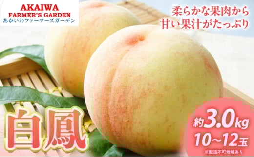 桃 2026年 先行予約 白桃 白鳳 約3.0kg 10～12玉 もも 岡山県 赤磐市産 フルーツ 果物 あかいわファーマーズガーデン 果物類