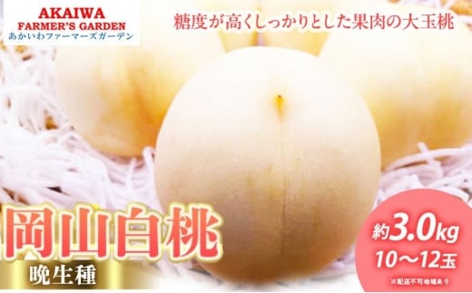 桃 2026年 先行予約 岡山の 白桃 (晩生種) 約3.0kg 10～12玉 もも 岡山県 赤磐市産 フルーツ 果物 あかいわファーマーズガーデン デザート 旬の果物 旬のフルーツ