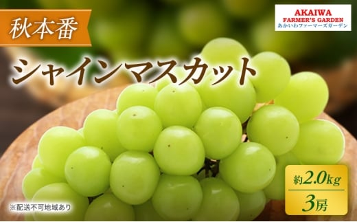 ぶどう 2026年 先行予約 シャインマスカット 約2.0kg 3房 秋本番 葡萄 岡山県 赤磐市産 フルーツ 果物 果物類