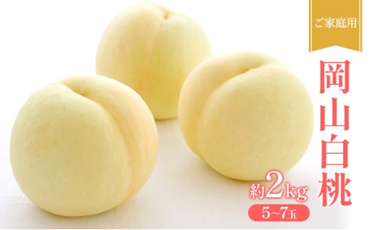 桃 2026年 先行受付 ご家庭用 岡山 白桃 約2kg (5～7玉) フルーツ 果物 岡山 赤磐市