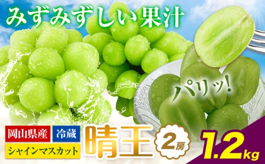 【2026年先行予約】シャインマスカット 岡山県産 シャインマスカット 晴王 2房 約1.2kg《2026年9月上旬-10月末頃出荷》 ハレノフルーツ マスカット 送料無料 岡山県 浅口市 フルーツ 果物 贈り物 ギフト 国産 岡山県産 くだもの 青果物【配送不可地域あり】