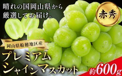 【2026年先行予約】ぶどう プレミアム シャインマスカット 船穂 赤秀品 晴王 1房約600g《2026年9月中旬-10月中旬頃出荷》晴レ乃青果 (岡山中央卸売市場店(富士紙工 有限会社)) マスカット 送料無料 岡山県 浅口市 フルーツ 果物 贈り物 ギフト 国産 【配送不可地域あり】