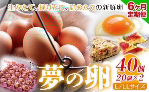 6ヶ月 定期便 卵 たまご 定期便 夢の卵 20個入り x 2セット L/LLサイズ《お申込み月翌月から出荷開始》株式会社めぐみ 岡山県 浅口市 送料無料 大容量 大箱 たっぷり Lサイズ LLサイズ