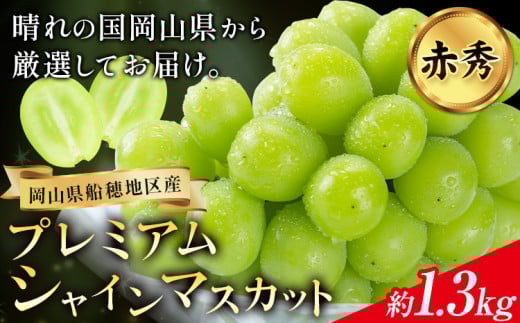 ぶどう プレミアム シャインマスカット 船穂 赤秀品 晴王 2房約1.3kg[2025年9月中旬-10月末頃より出荷予定(土日祝除く)]ハレノスイーツ 岡山中央卸売市場店 マスカット 送料無料 岡山県 浅口市 フルーツ 果物 贈り物 ギフト 国産 [配送不可地域あり] st-p