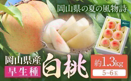 【令和8年度先行予約】岡山県産 白桃 (早生種) 約1.3kg (5~6玉) クール便 晴れの国 おかやま館(漂流岡山) 《2026年7月上旬-7月下旬頃出荷》岡山県 浅口市 白桃 桃【配送不可地域あり】(離島) st-p