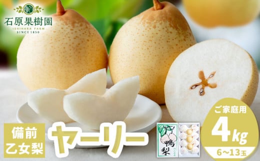 【先行予約】【家庭用】梨 なし ナシ ヤーリー 鴨梨 備前乙女梨 4kg 6~13玉《2025年11月中旬-2026年1月上旬頃出荷》石原果樹園 岡山県 浅口市 果物 フルーツ 新鮮