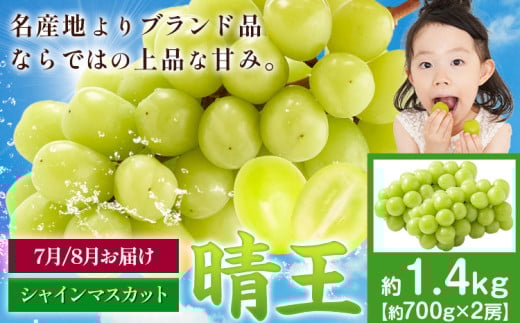 [先行予約]シャインマスカット 晴王 1.4kg マスカット岡山[2025年7月上旬-9月中旬頃出荷]岡山県 浅口市 送料無料 フルーツ 果物 マスカット お取り寄せフルーツ[配送不可地域あり] st-p