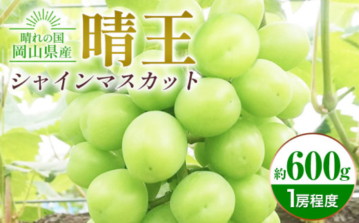 シャインマスカット晴王 約600g 1房程度 橋田商店有限会社[2025年9月中旬-11月中旬頃出荷] 岡山県 浅口市 岡山県産 ぶどう フルーツ 果物 くだもの マスカット 送料無料[配送不可地域あり]