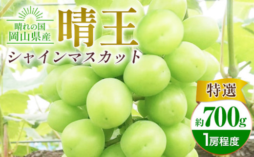 シャインマスカット晴王 約700g 特選 1房程度 橋田商店有限会社[2025年9月中旬-11月中旬頃出荷] 岡山県 浅口市 岡山県産 ぶどう フルーツ 果物 くだもの マスカット 送料無料[配送不可地域あり]