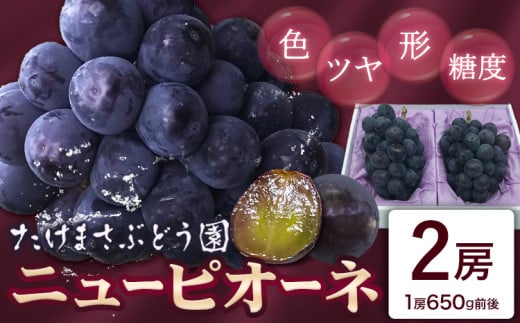 [2026年先行予約]ぶどう ニューピオーネ 2房(1房650g前後) たけまさぶどう園 [2026年7月中旬-10月上旬頃出荷]岡山県 浅口市 送料無料 フルーツ 果物 岡山県産 青果物 お取り寄せフルーツ[配送不可地域あり](離島)