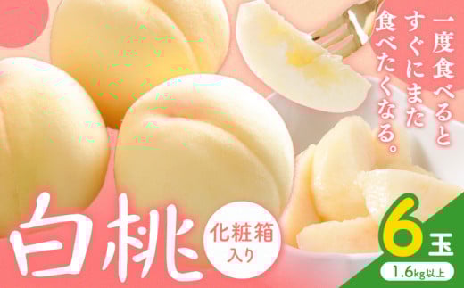 桃 岡山の桃【2026年先行予約】白桃 6玉(1.6kg以上) 株式会社山博 (中本青果)《2026年7月上旬-8月上旬頃出荷》岡山県 浅口市 桃 もも フルーツ 旬 果物 国産 岡山県産 送料無料 冷蔵 化粧箱【配送不可地域あり】