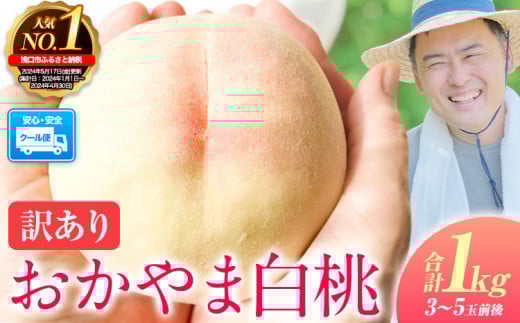 [2026年発送 先行予約開始!] 桃 もも ご家庭用/訳あり おかやま白桃 もも 1kg 3~5玉前後 岡山県産[2026年6月下旬-9月下旬頃出荷]岡山県 浅口市 白桃 黄桃 白鳳 清水白桃 おかやま夢白桃 川中島白桃 白皇 黄金桃 果物 桃 2026 先行 桃 先行予約2026 桃 先行予約2026 桃 白鳳 桃