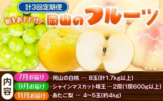 フルーツ 定期便 果物 定期便【2026年先行予約】定期便3回コース(隔月) 岡山のフルーツ 岡山の白桃8玉 (計1.7kg以上) シャインマスカット 晴王 2房 (1房600g以上) あたご梨 4~5玉 (約4kg) 化粧箱入り 株式会社山博(中本青果) 《2026年7月上旬-11月下旬頃出荷》 岡山県 浅口市 送料無料 【配送不可地域あり】