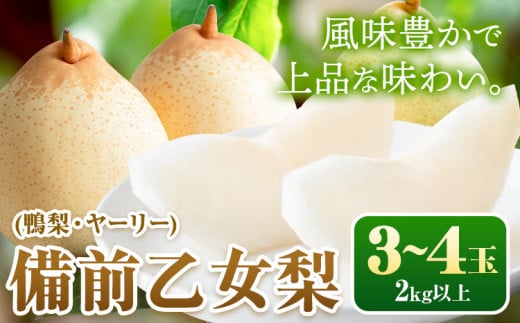 【先行予約】梨 なし 乙女梨 3~4玉 2kg 以上 石原果樹園 《2025年11月中旬-2026年1月上旬頃より発送予定》岡山県 浅口市 果物 フルーツ 梨 鴨梨 備前乙女梨 ヤーリー