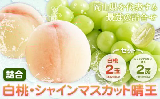 桃 シャインマスカット【2026年先行予約】詰合 白桃（1玉220g以上）2玉・シャインマスカット晴王（1房480g以上）2房 化粧箱入り 株式会社山博(中本青果)《2026年7月下旬-8月中旬頃出荷》岡山県 浅口市 ぶどう フルーツ ギフト 贈答用 旬 果物 国産 岡山県産 送料無料【配送不可地域あり】
