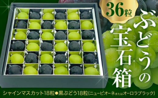 【2026年先行予約】ぶどうの宝石箱 1箱 36粒 たけまさぶどう園 《2026年8月上旬-10月中旬頃出荷》岡山県 浅口市 シャインマスカット ニューピオーネ オーロラブラック フルーツ 果物 くだもの ぶどう マスカット 国産 岡山県産 【配送不可地域あり】(離島)