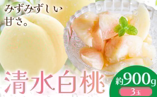 [2026年先行予約]清水白桃 約900g もも モモ 岡山 国産 フルーツ 果物 桃茂實苑[2026年7月中旬-8月上旬頃出荷]岡山県 浅口市 フルーツ モモ 果物 青果 旬 白桃 国産 岡山県産[配送不可地域あり]