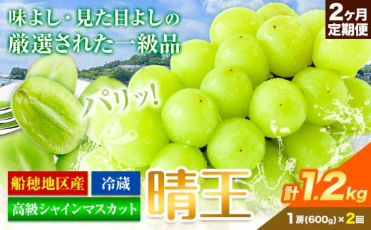 高級 シャインマスカット 2ヶ月定期便【2026年先行予約】 ぶどう 晴王(1房600g×2ヶ月 計1.2kg) 岡山県産《9月上旬-10月末頃出荷(土日祝除く)》 ハレノフルーツ マスカット 送料無料 岡山県 浅口市 フルーツ 果物 贈り物 ギフト 国産 岡山県産【配送不可地域あり】 st-p