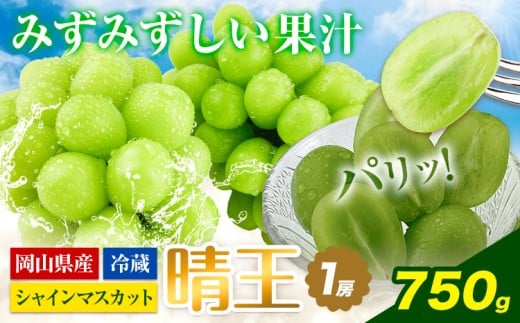 【2026年先行予約】シャインマスカット 岡山県産 シャインマスカット 晴王 1房 750g《2026年9月上旬-10月末頃出荷》 ハレノフルーツ マスカット 送料無料 岡山県 浅口市 フルーツ 果物 贈り物 ギフト 国産 岡山県産 くだもの 青果物【配送不可地域あり】