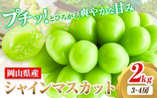 【2026年先行予約】シャインマスカット 岡山県産 2kg 3房 ~ 4房《2026年9月上旬-9月中旬頃出荷》ひらた農園 マスカット 送料無料 岡山県 浅口市 シャインマスカット ぶどう フルーツ 果物 贈り物 ギフト 国産 くだもの 果物 青果物
