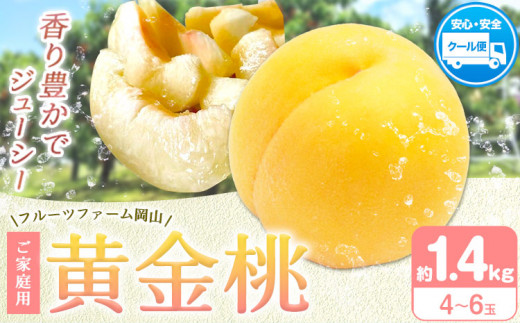 桃 もも[2026年先行予約]桃 黄金桃 ご家庭用 選べる内容量 1.4kg (4〜6玉) フルーツファーム岡山[2026年8月中旬-8月末頃出荷]岡山県 浅口市 送料無料 フルーツ モモ 果物 青果 旬 国産 岡山県産[配送不可地域あり] st-p