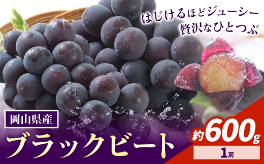 [2026年先行予約]岡山県産 ぶどう ブラックビート 600g 1房 株式会社 はちや[2026年8月上旬-9月上旬頃出荷]岡山 国産 葡萄 フルーツ 果物 岡山県 浅口市 フルーツ 果物[配送不可地域あり]