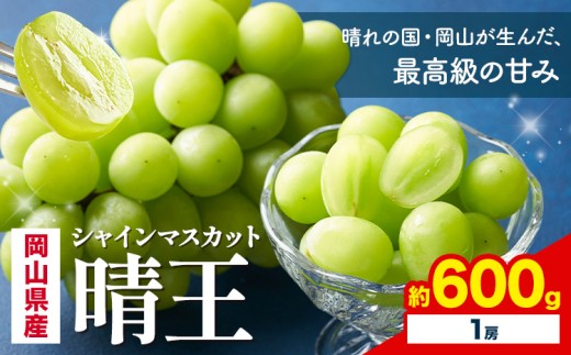 [2026年先行予約] 岡山県産 シャインマスカット 晴王 600g 1房 株式会社はちや[2026年7月上旬‐8月下旬頃出荷]岡山県 浅口市 ぶどう 葡萄 フルーツ ギフト 果物 デザート 国産[配送不可地域あり]
